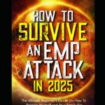 EMP Survival for Beginners—What You Actually Need