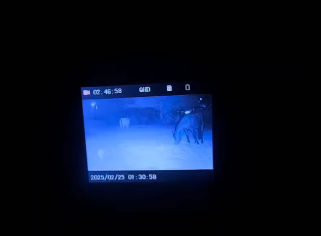 Let’s get one thing straight: most so-called “affordable” night vision gear out there is hot garbage. Blurry images, short range, weak IR. But the MCG Tactical Dark Force NVB is an exception. A big one.

This thing delivers clear, full-color night vision, has a rugged design, and clocks in under 100 bucks. If you're into overlanding, prepping, or just like seeing what’s lurking in the treeline at 2AM, you’ll want to pay attention.

Serious Night Vision at a Ridiculously Good Price
At first glance, I didn’t expect much. I’ve seen budget NVBs before and let’s just say most of them end up as target practice. But the Dark Force Night Vision Binoculars punched above their price tag—way above.

You’re looking at a 1080P HD display on a 2.5” screen, full-color at night, and a range of up to 800 meters in total darkness. Add in 7 levels of IR brightness and it doesn’t matter if you’re in a swamp or a blackout—this thing pulls in detail like a hawk.

It even includes a spotting laser for fast, precise targeting. Quick double-tap on the power button flips it on and off. Easy.

Built for the Real World
Let’s talk durability. The Darkforce NV Binoculars are made of plastic, sure. But after two drops—one onto gravel and one onto a tailgate—they still work just fine. Nothing cracked. No weird glitches. That’s more than I can say for some higher-end optics.

The outer texture is smooth, and the whole unit feels streamlined—not clunky. It barely weighs anything (under 10 ounces), so you’re not adding much to your loadout or daypack. I like that. Especially when you’re juggling other gear.

The grooves along the body? Nice touch. Makes it easier to strap to a headset or helmet rig. Definitely designed with tactical or hands-free use in mind.

Tech That Makes Sense Off-Grid
This isn’t a gimmick gadget. It’s a fully functional piece of intel gear. It has video and photo capture, built-in playback, 10X digital zoom, and an IP54 water-resistant rating. Toss in an SD card (up to 256GB), and you can document your entire bug-out route or recon run.

Power-wise, it runs on two 3.7V lithium batteries that you can recharge via USB-C. The port’s right next to the SD card slot under a waterproof rubber seal. Clean setup. No buying disposable batteries or dragging around a power brick.

Why These Binoculars Are Disappearing Fast
The part that really throws me? The price. These are going for 90% off right now. Under $100. Free shipping. No subscription traps or “waitlist” gimmicks.

But here’s the catch—this is overstock pricing. When they run out, you’re looking at $599 or more. And even at that price, they’d still be competitive. So if you're sitting on the fence, it might be time to hop off and grab one while they’re still available.

What You’re Getting
2.5" HD screen (1080P)

10X digital zoom

800m night viewing range

7-level IR brightness

Red spotting laser

USB-C charging

MicroSD slot (up to 256GB)

IP54 water resistant

Video/photo capture + playback

Spot-on lightweight design

Included gear: USB cable, strap, case, lens cloth

FAQ: What Most Folks Ask Before Buying
Can these be used during the day?
Yes. They function in daylight, low light, and total darkness.

How far can you see at night?
Up to 800 meters in pitch black.

Are they waterproof?
They’re IP54 rated—resistant to water splashes and dust. Not submersible.

Do they need batteries?
They come with built-in rechargeable batteries. Just plug them into USB-C.

Can I record what I see?
Yep. Photos, videos, playback—just pop in a microSD card.

Do they feel cheap or toy-like?
Not at all. Lightweight, sure, but surprisingly solid. Feels like gear, not a gadget.

Is this just a limited-time price?
Yes. Once inventory’s gone, so is the discount. You’ll pay a lot more later.

Why I’d Throw This in My Bug-Out Bag
Look, the MCG Tactical Dark Force Night Vision Binoculars aren’t just a “nice to have.” For the price, they’re a no-brainer. Whether you’re on patrol around your homestead, navigating a forest road at 1AM, or just want to keep an eye on the woods from your tent, they work. And they work well.

They’re light. They’re capable. And honestly, the night vision is much better than I expected given the price. For anyone serious about self-reliance, surveillance, or off-grid security, these are a smart grab.

Just don’t wait too long. When these sell out, it might be a while before they’re back—and I wouldn’t be shocked if the next batch comes with a much steeper price tag.